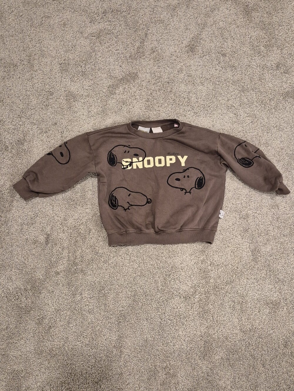 ZARA Snoopy Crewneck Sweatshirt
